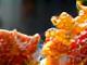 Vibrant street food stall with local dishes